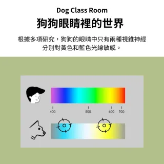 【Pet Universe 多寵宇宙】寵物尿布墊-特厚L-4包/組(寵物尿墊 尿布墊寵物 狗尿布墊 狗狗尿墊 狗狗尿布墊)