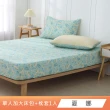 【HongYew 鴻宇】台灣製100%精梳棉 床包枕套組 單人(多款)