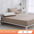 【HongYew 鴻宇】台灣製100%精梳棉 床包枕套組 單人(多款)