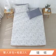 【HongYew 鴻宇】台灣製100%精梳棉 床包枕套組 雙人(多款)