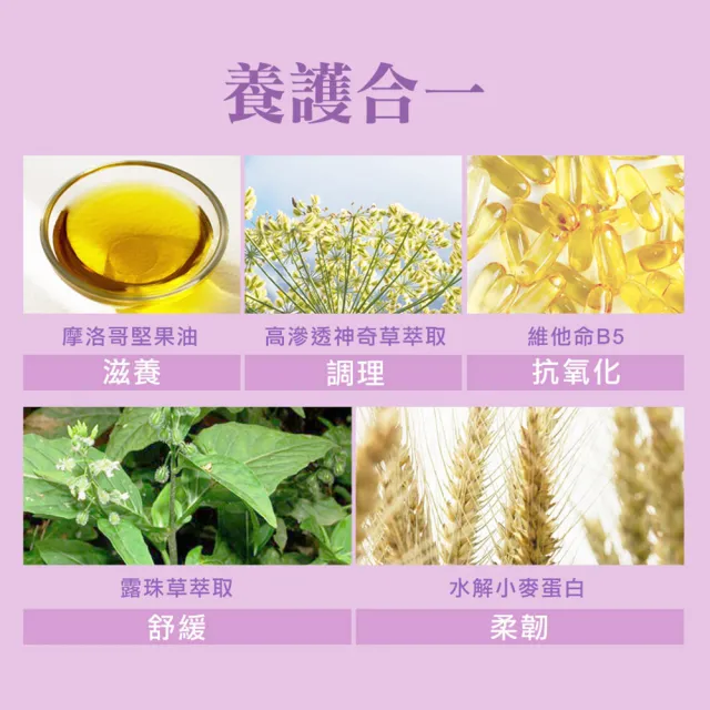 【SHILLS 舒兒絲】髮安瓶。秘帖奢華護髮精華-3入組(潤髮乳/護髮乳/乾濕兩用)