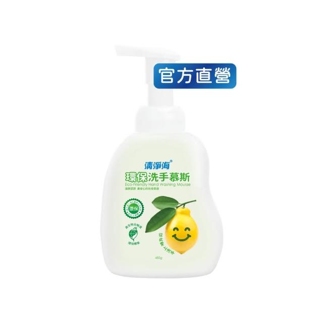 【清淨海 官方直營】環保洗手慕斯480g(溫和清潔/手部潔淨/無添加酒精/無皂鹼/蓬鬆泡沫/嬰童用)