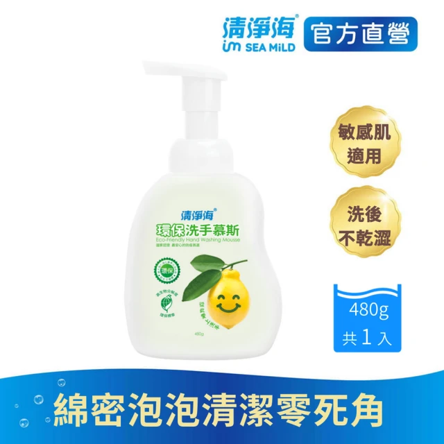 【清淨海 官方直營】環保洗手慕斯480g(溫和清潔/手部潔淨/無添加酒精/無皂鹼/蓬鬆泡沫/嬰童用)