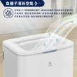 【Electrolux 伊萊克斯】21L一級能效27坪適用APP遙控 極適家居 600 除濕機(ED2171WA)