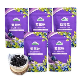 【統一生機】藍莓乾100gx5包