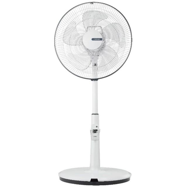 CHIMEI奇美 DF-16A301