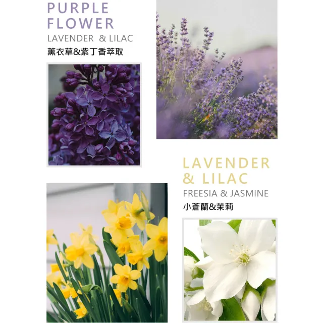【ShowerMate】微風如沐香氛沐浴乳（900g）3入組(蒼蘭茉香/粉玫櫻香/紫丁薰香/台灣總代理)