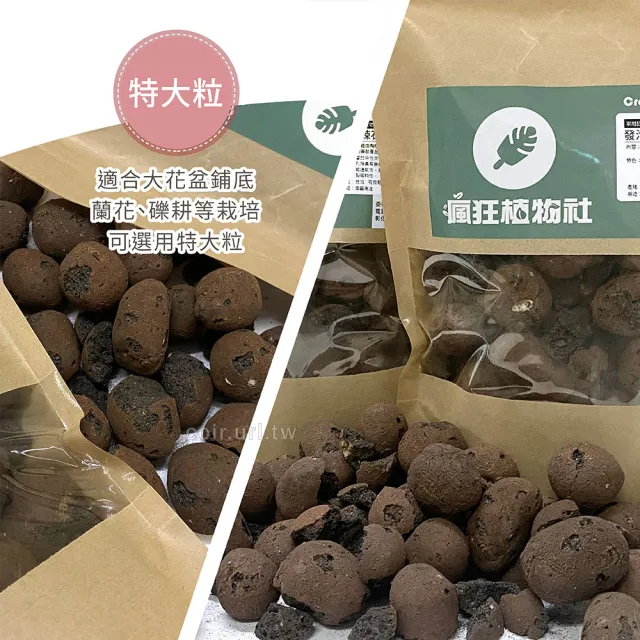 【天然介質】大包發泡煉石 特大粒 6號15-35mm(陶粒 水耕 礫耕 鋪面石 砵底石 瘋狂植物社)