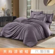 【貝兒居家寢飾生活館】頂級涼感60支天絲涼被(棉被/四季被/TENCEL/多款任選) 涼被/冷氣毯