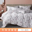 【貝兒居家寢飾生活館】頂級涼感60支天絲涼被(棉被/四季被/TENCEL/多款任選) 涼被/冷氣毯