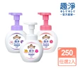 【LION 獅王】趣淨抗菌洗手慕斯250mlX2入(清爽柑橘/清新果香/花香)