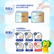 【LION 獅王】趣淨抗菌洗手慕斯 清爽柑橘/清新果香/淡雅花香(250ml)