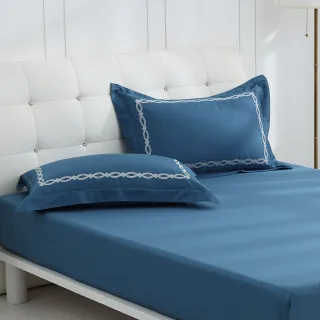 【HongYew 鴻宇】300織美國棉 純色刺繡 床包枕套組-多款任選(雙人加大)