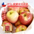 【FruitGo 馥果】智利安寶蜜桃蘋果64顆(18kg±10%原箱產地直送)