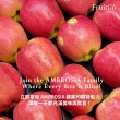 【FruitGo 馥果】智利安寶蜜桃蘋果64顆(18kg±10%原箱產地直送)