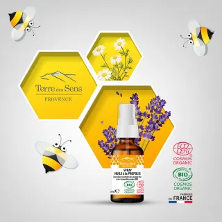 【法國原裝PROVENCE】有機綠蜂膠萬靈油特規版