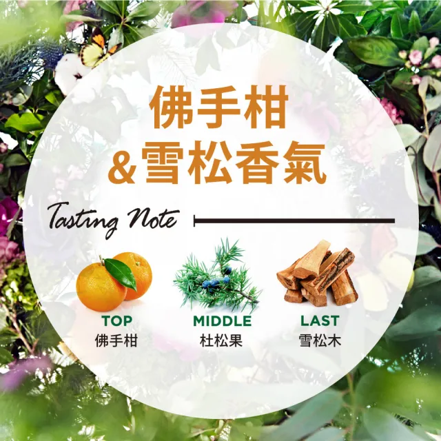 【Laundrin】Botanical柔軟精補充包430ml(佛手柑&雪松)