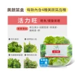 【NICE GREEn】美蔬菜盒6入免運組送6包沙拉醬(萵苣 生菜 沙拉 蔬菜 防疫健康組)