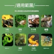 【寧樂】爬寵恒溫箱 孵蛋器 孵化機 孵蛋機 烏龜蜥蜴蛇蛋孵化器 守宮恒溫孵化櫃飼養箱(110V)