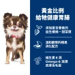 【Hills 希爾思】官方直營 敏感胃腸與皮膚 成犬 雞肉與大麥 1.81公斤(狗飼料 狗糧 小型犬)