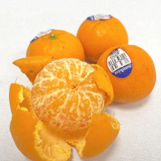 【舒果SoFresh】美國砂糖橘(6袋 /約6kg /箱)