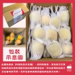 【舒果SoFresh】美國砂糖橘(6袋 /約6kg /箱)