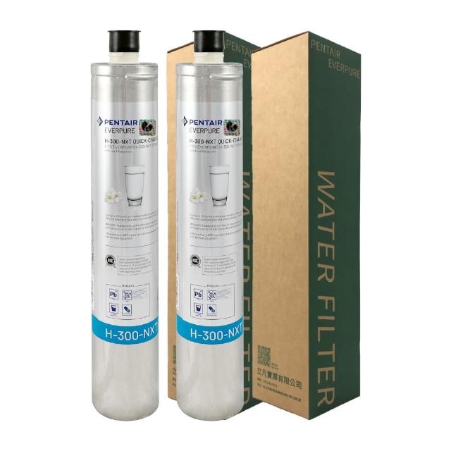 【EVERPURE】濾心 H300NXT(2入組)