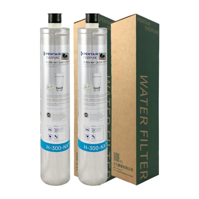 【濱特爾】EVERPURE 濾心 H300NXT(2入組)