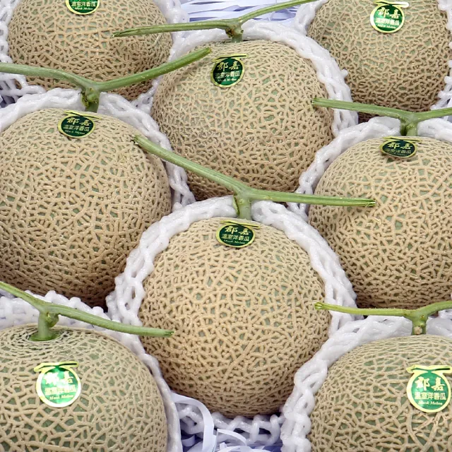 【愛蜜果】台灣阿露斯網紋哈密瓜2入禮盒X1盒(約5斤/盒_日本品種/端午節禮盒)