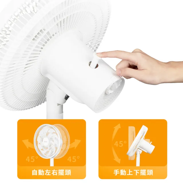 【Kolin 歌林】12吋循環立扇/電風扇/風扇(KF-SD2542)
