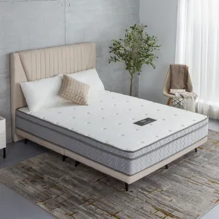 【H&D 東稻家居】MIT台灣製國民系列-冰涼紗涼感水星獨立筒5尺床墊(雙人床墊)