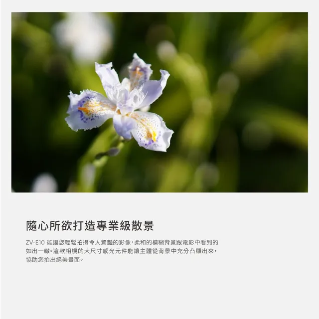 【SONY 索尼】可換鏡頭式數位相機 ALPHA ZV-E10 單機身(側翻式螢幕/一鍵切換景深/即時人眼追蹤)