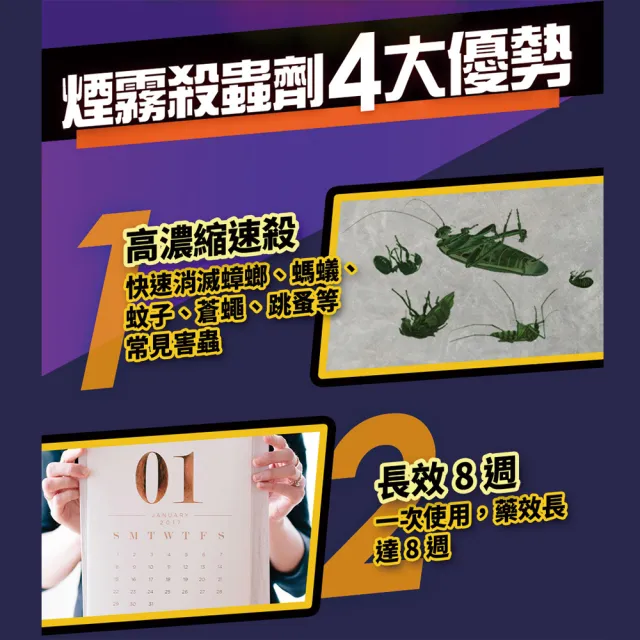 【雷達】煙霧殺蟲劑3+2入/盒(42.5g*5入)
