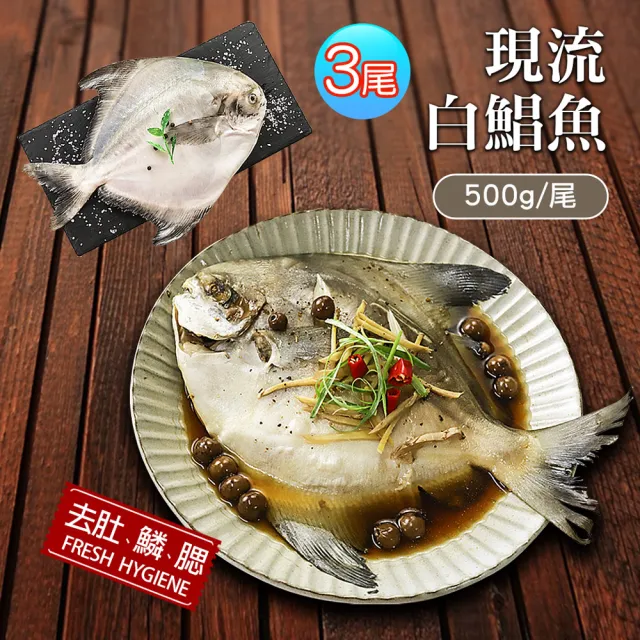 【築地一番鮮】野生一本釣白鯧魚3尾(約500g/尾)