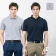 【pierre cardin 皮爾卡登】網路獨家 男款 商務百搭網眼透氣素色短袖POLO衫(多色任選)