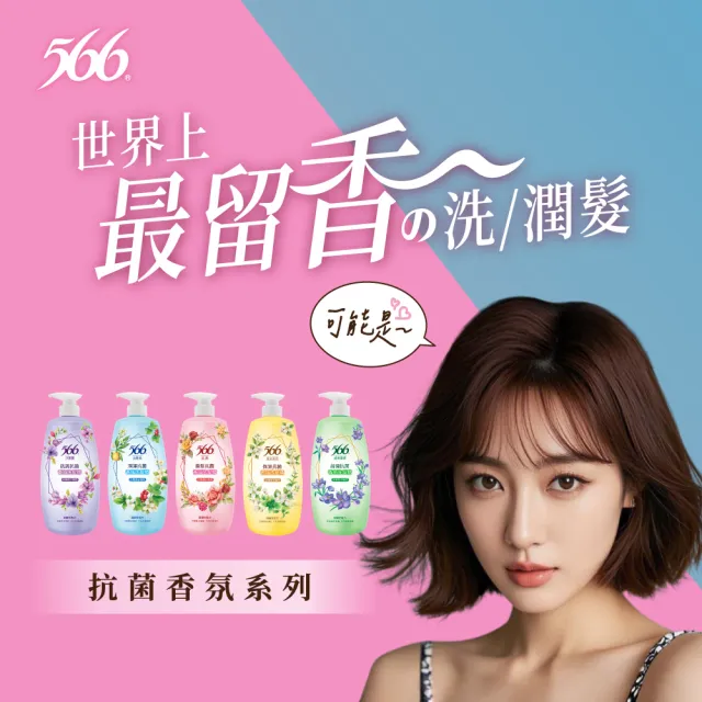 【566】抗菌香氛洗髮精-800gx12入(金朵茉莉/白麝香/小蒼蘭/玫瑰/琥珀麝香 箱購特惠)
