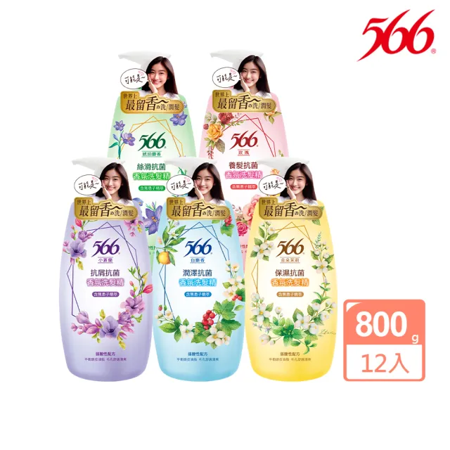 【566】抗菌香氛洗髮精-800gx12入(金朵茉莉/白麝香/小蒼蘭/玫瑰/琥珀麝香 箱購特惠)
