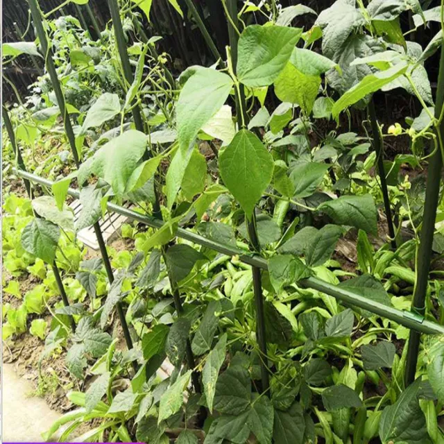 【poko】粗鐵管爬藤桿 20mm 120公分 10入組附鐵絲扣 菜棚 菜架 鐵竹竿 加粗園藝植物桿 藤蔓攀藤架)