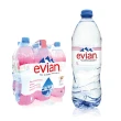 【Evian 依雲】天然礦泉水1000mlx12入/箱