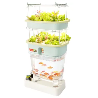 【Lagoon】魚菜共生系統V2.0-2層(天然無毒/美化環境/舒壓療癒/科普教育)