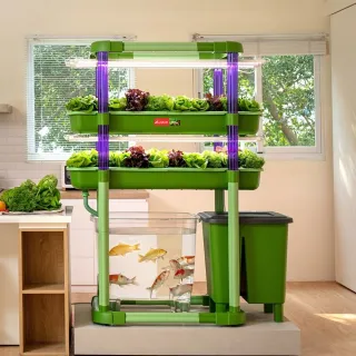 【Lagoon】魚菜共生系統V3.0-2層(天然無毒/美化環境/舒壓療癒/科普教育)