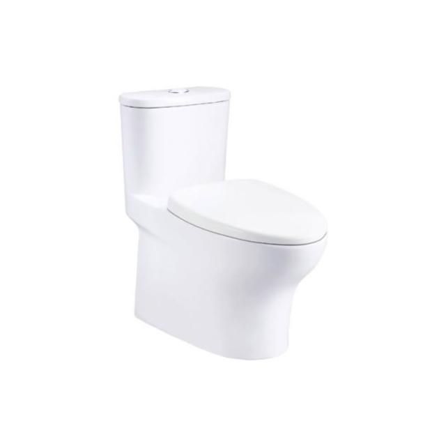 凱撒衛浴 CF1494 二段式單體馬桶，臺灣原廠生產，尺寸 W385 x D700 x H700 mm，適合現代衛浴空間。無加熱功能，材質與承載重量依原廠標準，BSMI許可字號 T31465 確保品質安全。提供舒適節水體驗，內容物依原廠規格，是可靠的家用馬桶選擇。