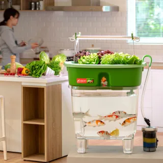 【Lagoon】魚菜共生系統V2.0-1(天然無毒/美化環境/舒壓療癒/科普教育)