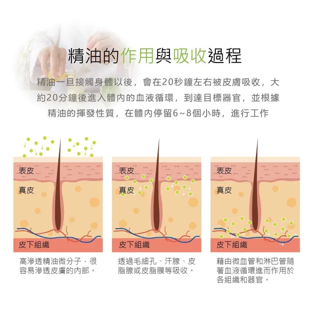 【花芊生技】金牌 金門一條根加倍精油貼布 24入組(8片/1包 加倍涼感 深層清涼)