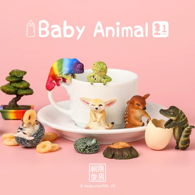 【YENDAR 研達】朝隈俊男 Baby Animal [6入/中盒](超萌寶寶來襲!)