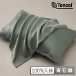 【ALAI 寢飾工場】60支100%天絲萊賽爾纖維 枕套2入組 多色任選(適用任何枕心/美式信封枕套/涼感/素色)