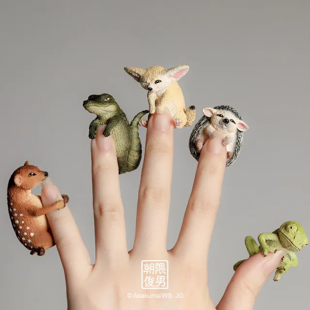 【YENDAR 研達】朝隈俊男 Baby Animal [單盒](超萌寶寶來襲!)