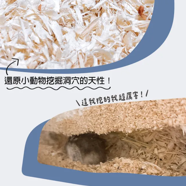 【PUBUTADA 噗噗噠噠】楊木刨花 60L箱裝(倉鼠 黃金鼠 沙鼠 四季墊料 木屑)