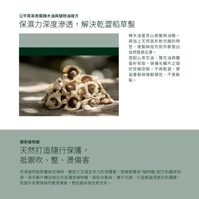 【greenvines 綠藤生機】奇蹟辣木護髮油30ml(100%植物性配方 歐盟Ecocert認證成分)