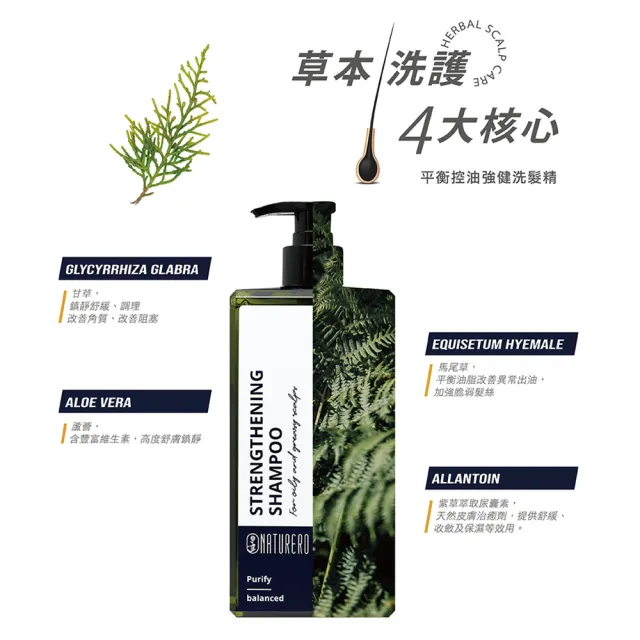 【Naturero 植淨林】新客體驗組-強健洗髮露+平衡淨化(400ML+200ML-豐盈強健/去角質/淨化液態洗髮/清新)